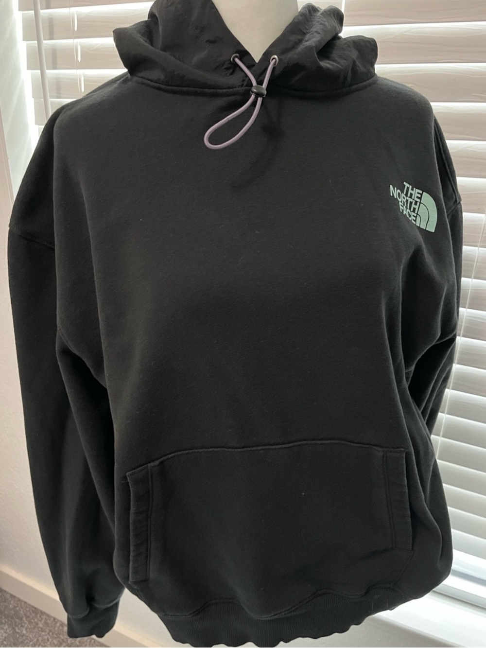 The North Face Men’s Black Hoodie with Mint Logo and Lavender Drawcord
